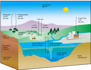 Diagram of the global carbon cycle, with estimated volumes. From NSIDC website.