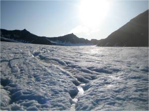 This image illustrates the reflectivity ('albedo') of ice surfaces. It looks bright because so much light is reflected rather than absorbed - this is the basis of the ice-albedo feedback.