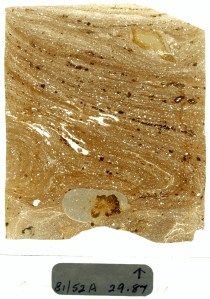 Unconsolidated sediments can be impregnated with resin and sliced very thinly and then examined under a microscope to yield insights into their depositional and deformation history. This ‘Thin Section’ is of glaciomarine muds from the North Sea basin. From Davies et al., 2011.
