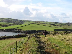 Drumlin from Anglesey. The axis of the drumlin is helpfully picked out by the hedge. Photo credit: Bethan Davies