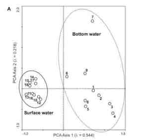 Results of PCA showing a distinct difference between surface and bottom waters
