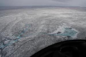 This photo (taken by Chris Bellas) illustrates the coverage by cryoconite, algae and other impurites in the interior of the Greenland ice sheet