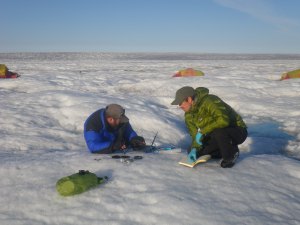 Tris Irvine-Fynn and I studying cryoconite on the Greenland Ice Sheet (ph. A Edwards)